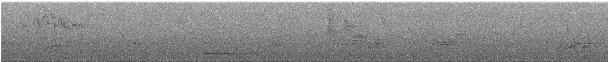 Солітаріо андійський (підвид plumbeiceps) - ML358973111