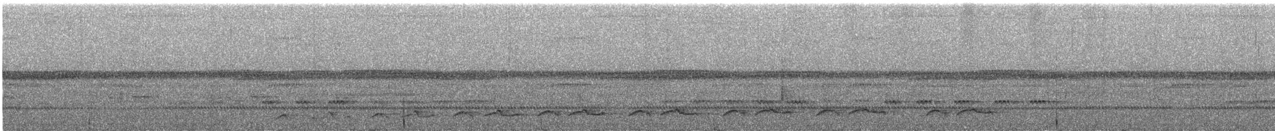 Lyre-tailed Nightjar - ML358982741