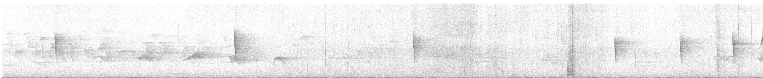 Поплітник каролінський - ML358990251