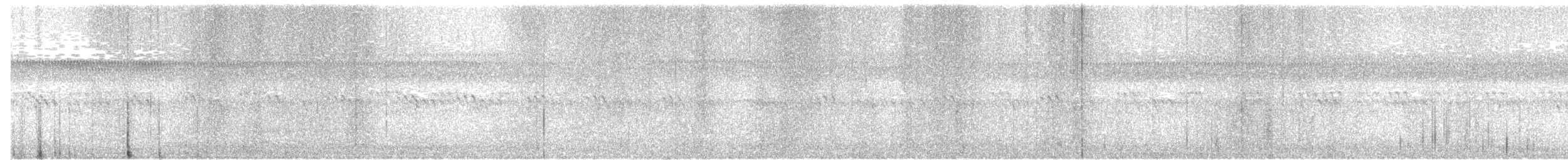 Troglodyte des marais - ML35899111