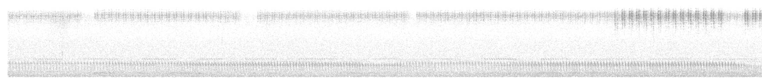 Nachtschwalbe - ML359013081