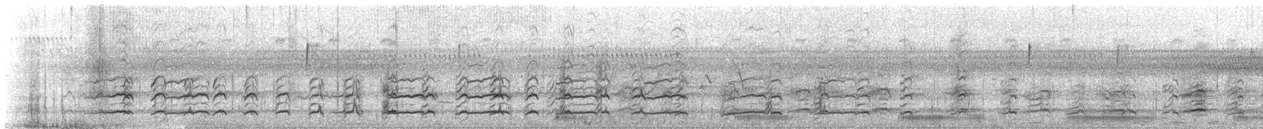 Brautente - ML359050551