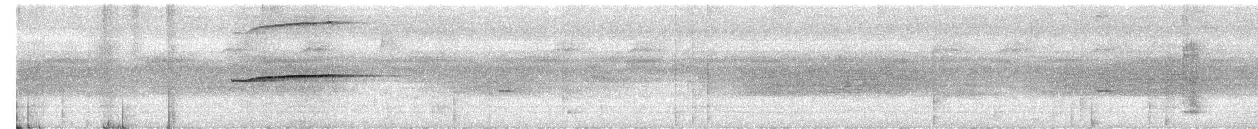 Сероголовая агуйла - ML359062471