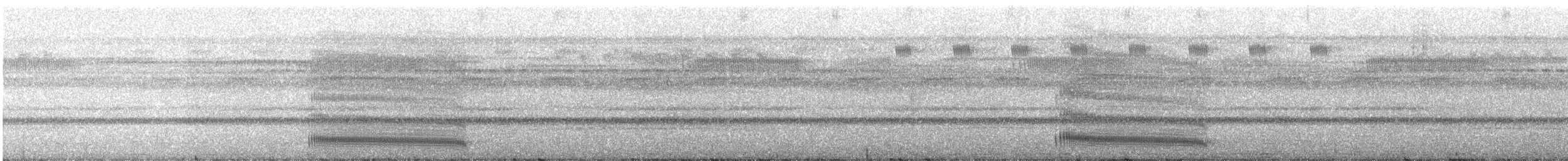 Güneyli Bükük Gagalı Tiran - ML359069061