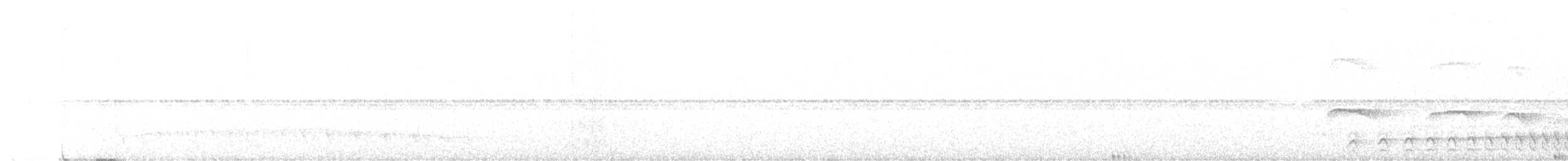 Atlantik Karınca Tiranı - ML359070051
