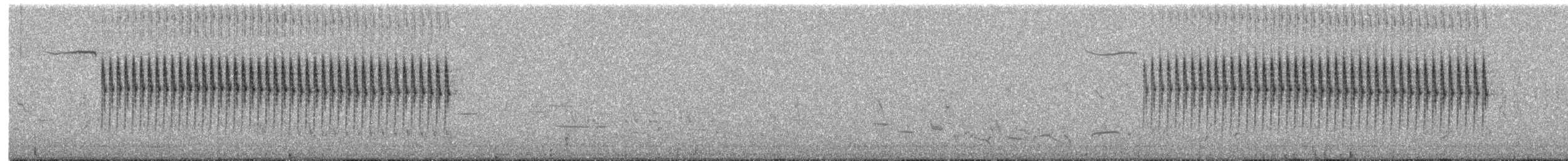 Worthen's Sparrow - ML359071541
