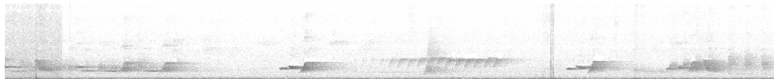 Orthonyx de Spalding - ML359079001