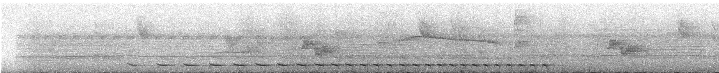 White-tailed Trogon - ML359157741