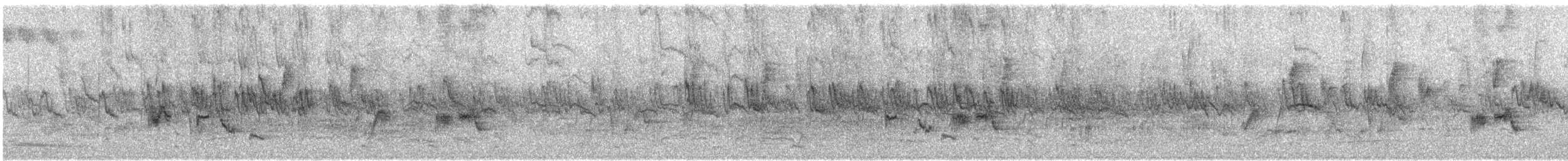 Silvereye - ML359265001