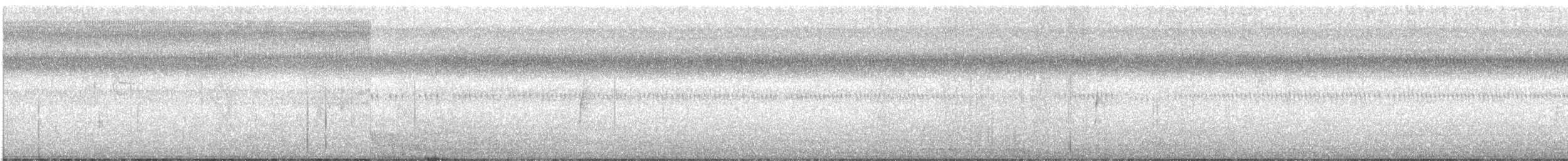 Küçük Boreal Sinekkapan - ML359265361