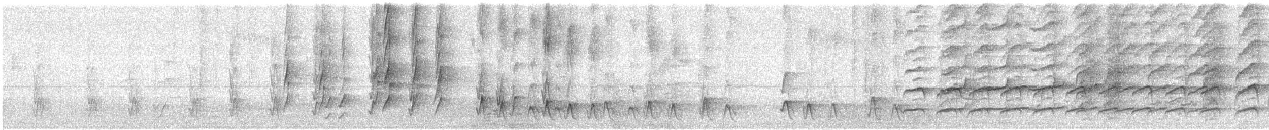 Noisy Miner - ML359266511