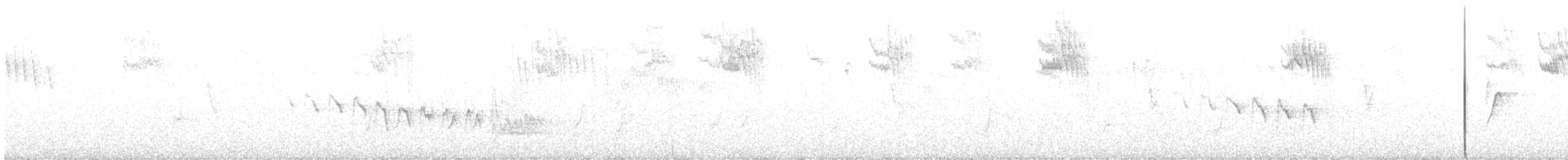 Зяблик гран-канарський - ML359306251