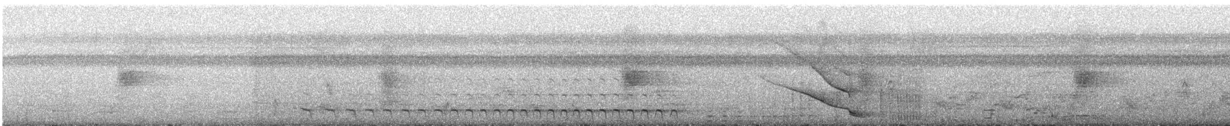 White-tailed Trogon - ML359352281