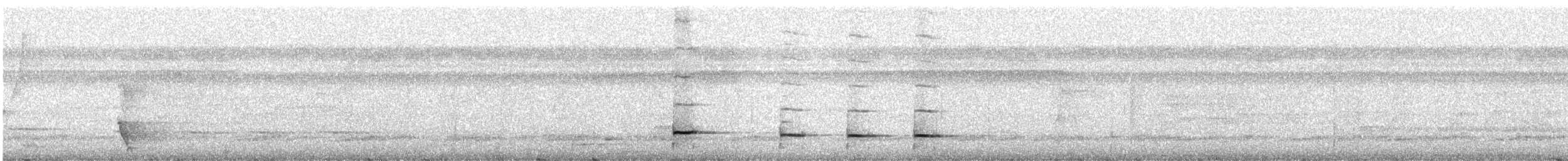 Tétéma coq-de-bois - ML359352861