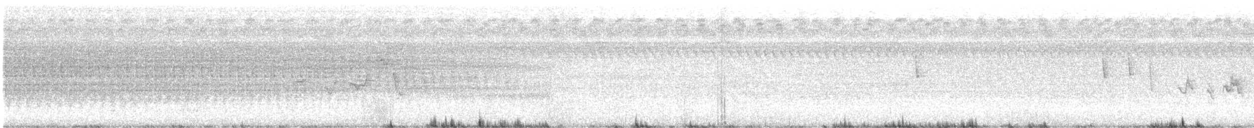 new world warbler sp. - ML359437951