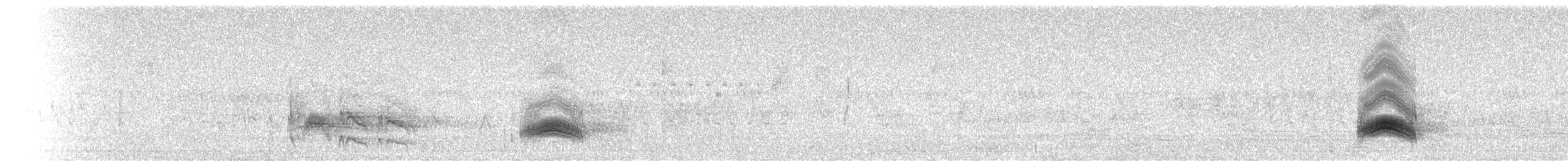 Серогрудый тиранн - ML359440301