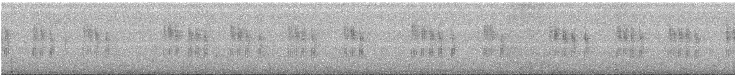 キヅタアメリカムシクイ（coronata） - ML359461901