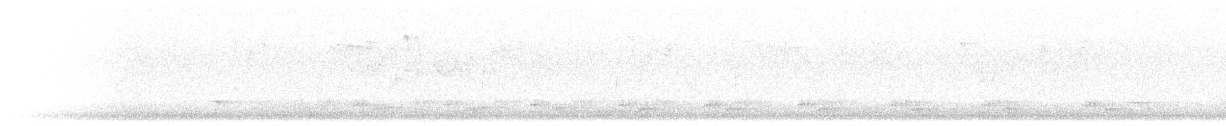 Black-streaked Scimitar-Babbler - ML359530931