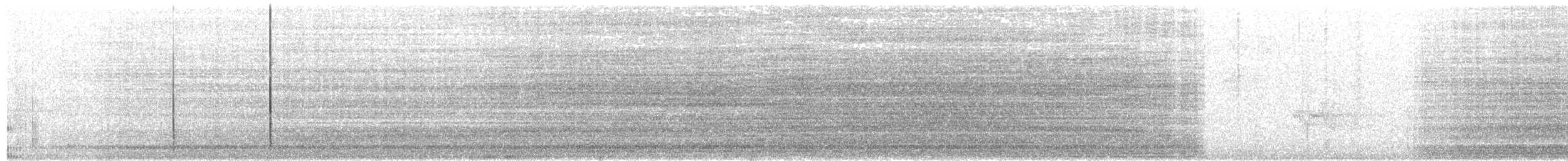 Aura Gallipavo - ML359533651