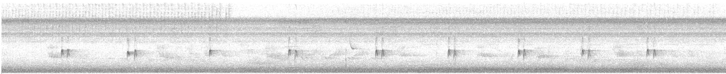 Поплітник каролінський - ML359552131
