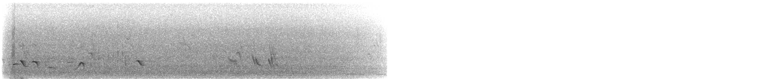 Hirondelle noire (hesperia) - ML359584871