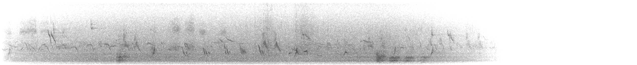 ムラサキツバメ（hesperia） - ML359585241