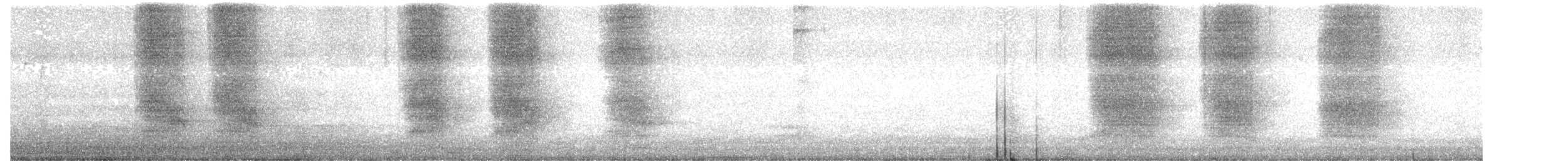 furuskrike (stelleri gr.) - ML359623971