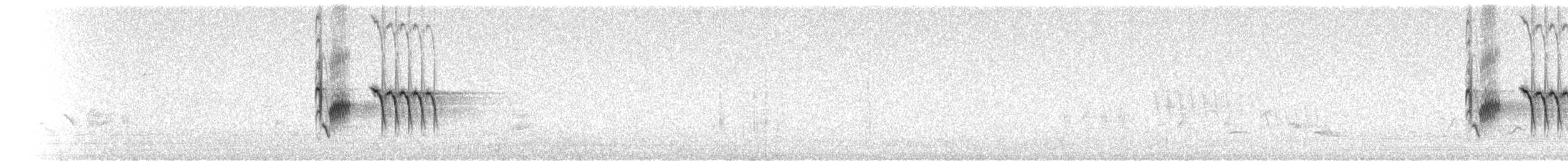 Тауї плямистий - ML359631281