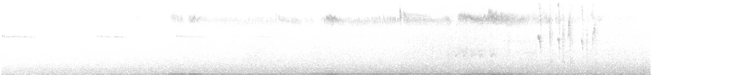 Broad-tailed Hummingbird - ML359727541