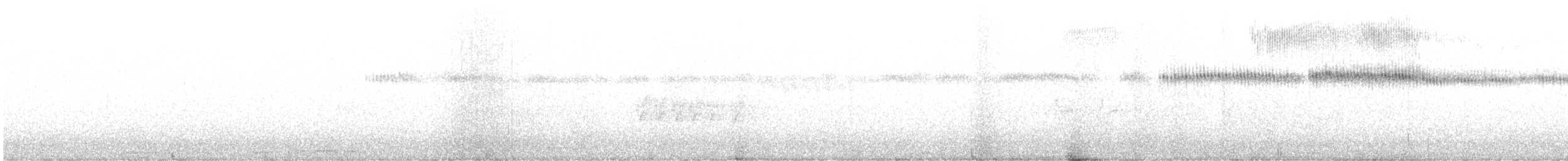Broad-tailed Hummingbird - ML359727751