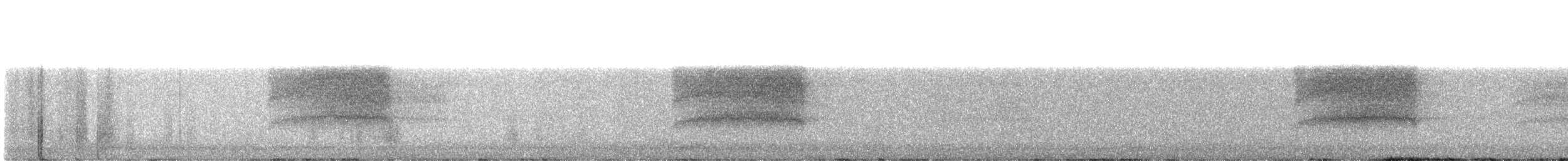 Ekialdeko hontz zuria - ML359763851