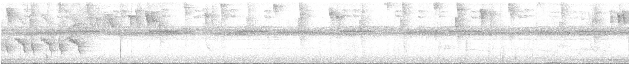 Ерміт-серподзьоб темнохвостий - ML359769191