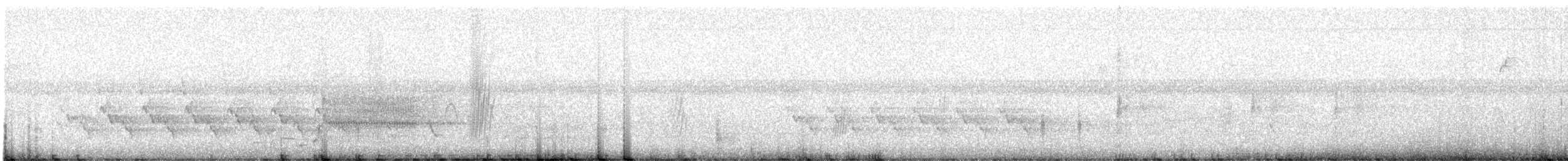 Каролинский крапивник - ML359789311