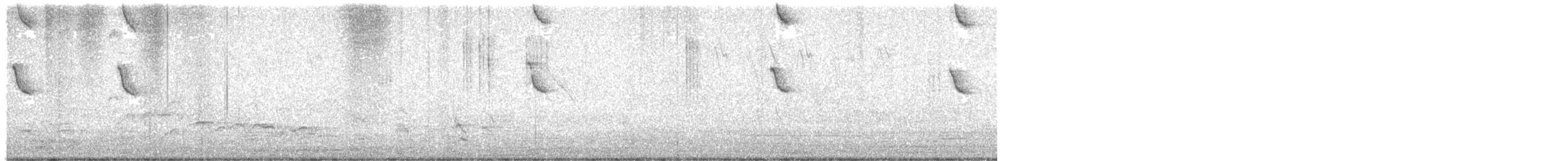 Colibri d'Angèle - ML359922091