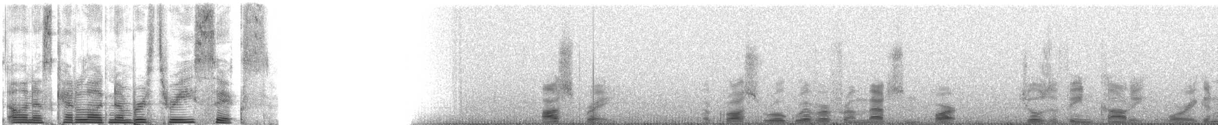 Osprey (American) - ML36