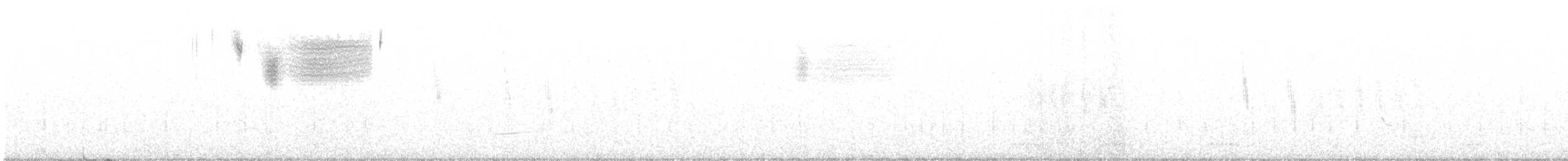 シロスジヒメドリ - ML360021321