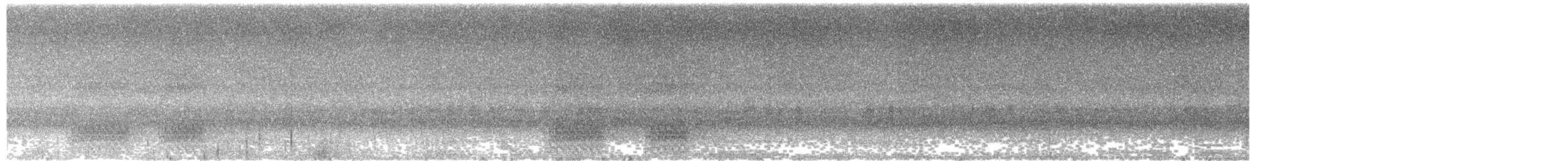 Kashmir Nutcracker - ML360051101