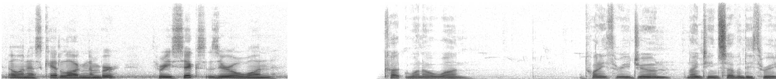 Gould's Shortwing - ML3601