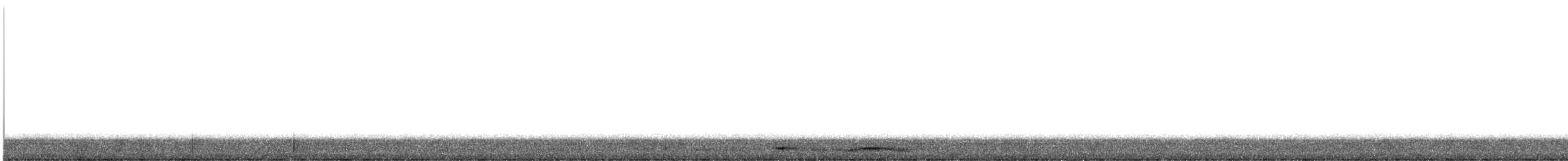 holub krátkozobý - ML360126821