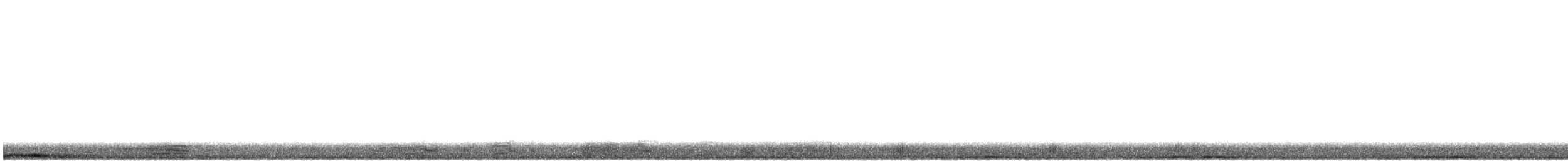 holub skalní (domácí) - ML360179941