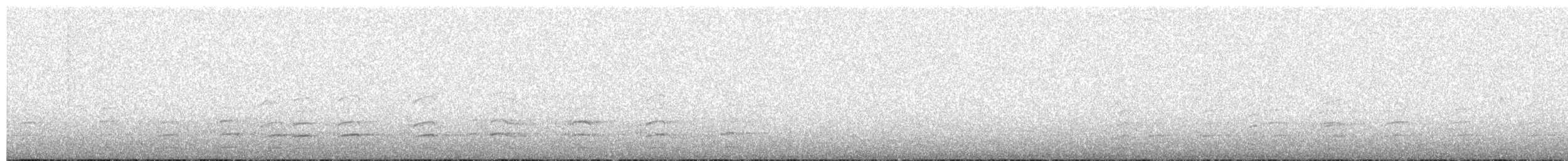 Plate-billed Mountain-Toucan - ML360201001