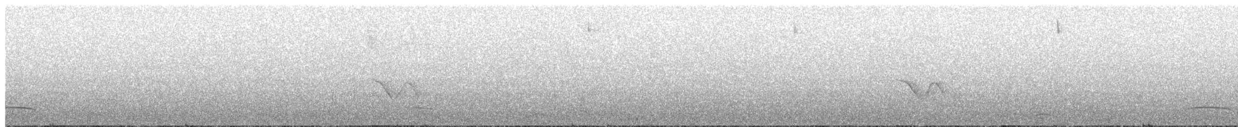 Turquoise Jay - ML360201531