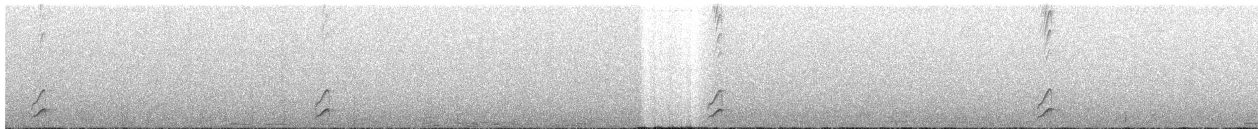 Blackish Tapaculo - ML360202571