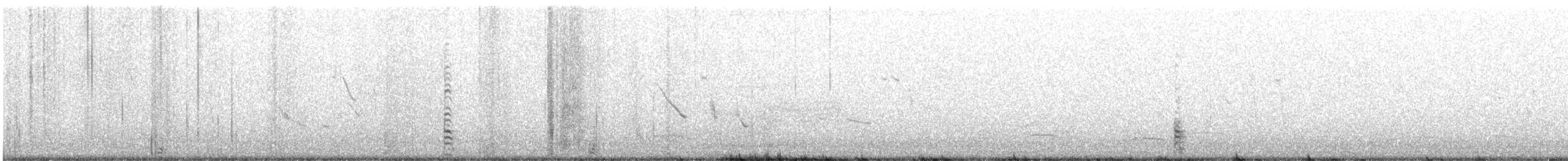 ibis laločnatý - ML360223961