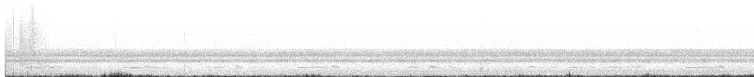 Winternachtschwalbe - ML360245241