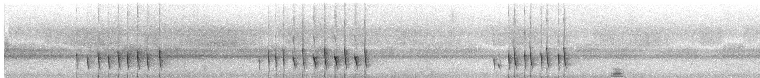 Newtonie commune - ML360288001