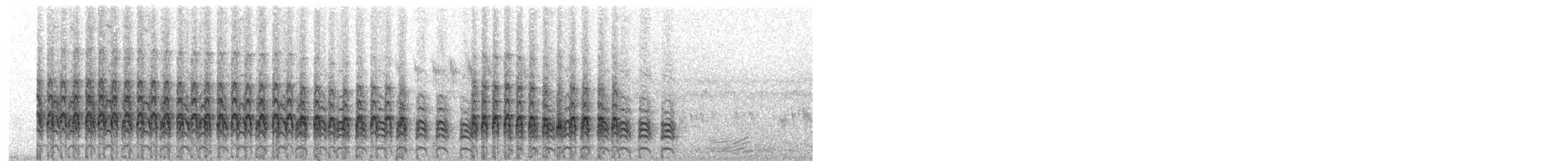 Madagascar Rail - ML360288161