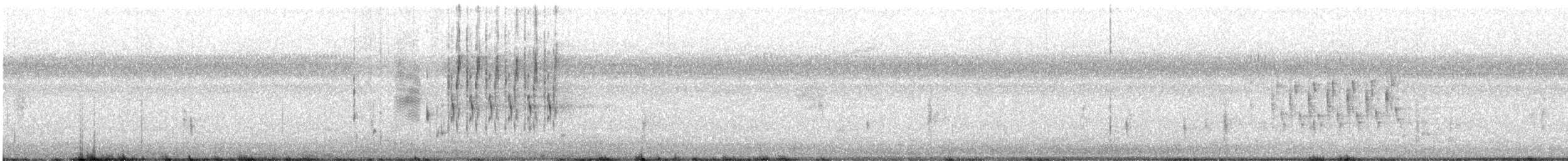 Troglodyte des marais - ML360332771