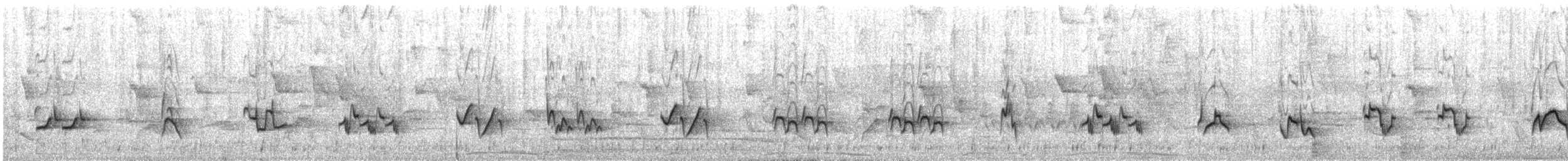 Schwarzschnabeldrossel - ML360335741