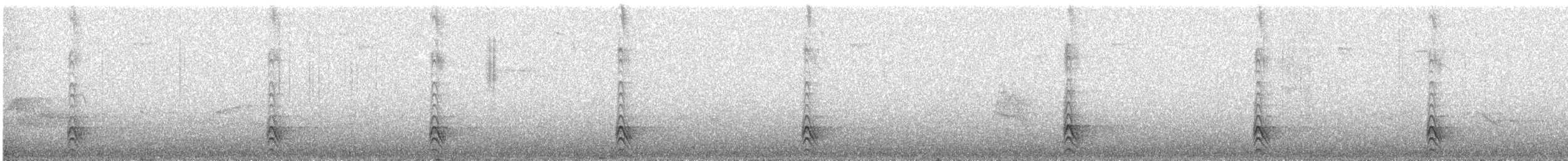 ヨコジマモリハヤブサ - ML360344631